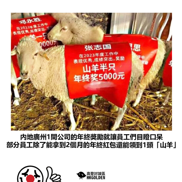 【內地廣州1間公司的年終獎勵就讓員工們目瞪口呆 部分員工除了能拿到2個月的年終紅包還能領到1頭「山羊」】