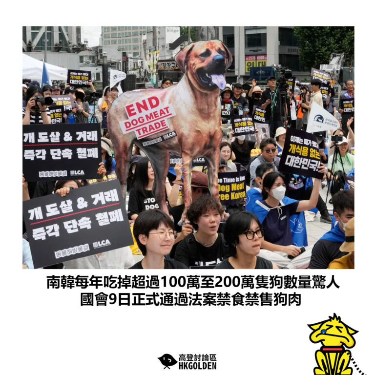 【南韓每年吃掉超過100萬至200萬隻狗數量驚人 國會9日正式通過法案禁食禁售狗肉】