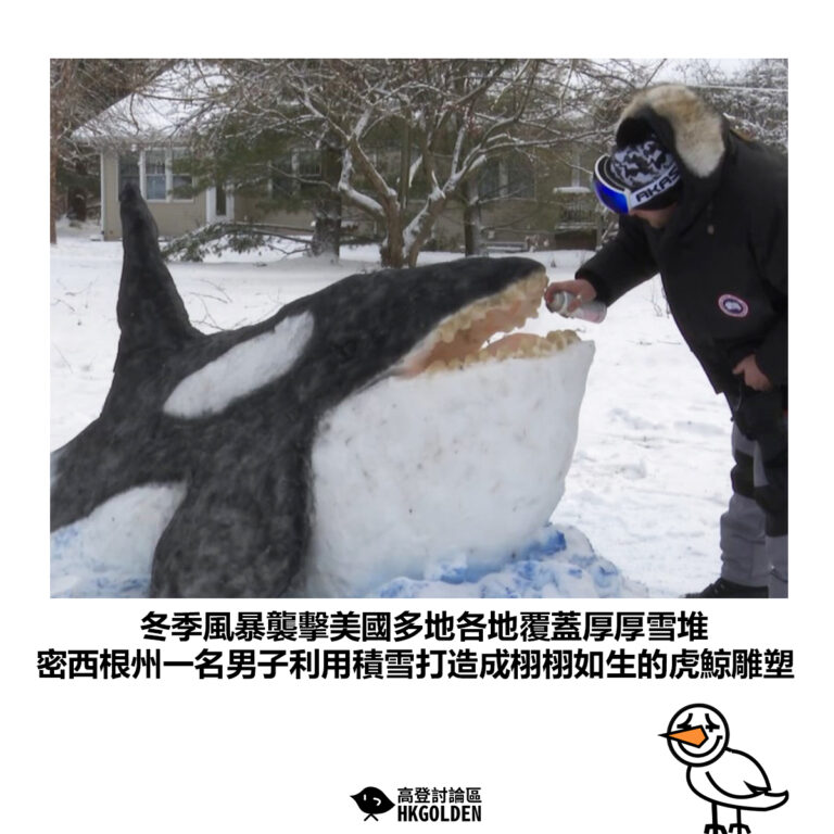 【冬季風暴襲擊美國多地各地覆蓋厚厚雪堆 密西根州一名男子利用積雪打造成栩栩如生的虎鯨雕塑】