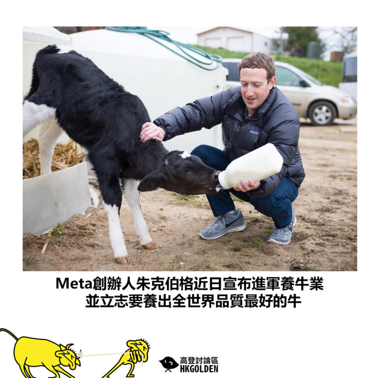 【Meta創辦人朱克伯格近日宣布進軍養牛業 並立志要養出全世界品質最好的牛】
