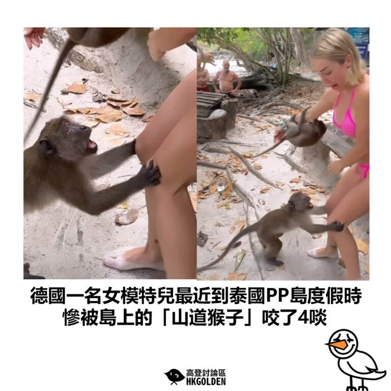 【德國一名女模特兒最近到泰國PP島度假時 慘被島上的「山道猴子」咬了4啖】