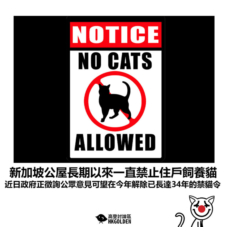 【新加坡公屋長期以來一直禁止住戶飼養貓 近日政府正徵詢公眾意見可望在今年解除已長達34年的禁貓令】