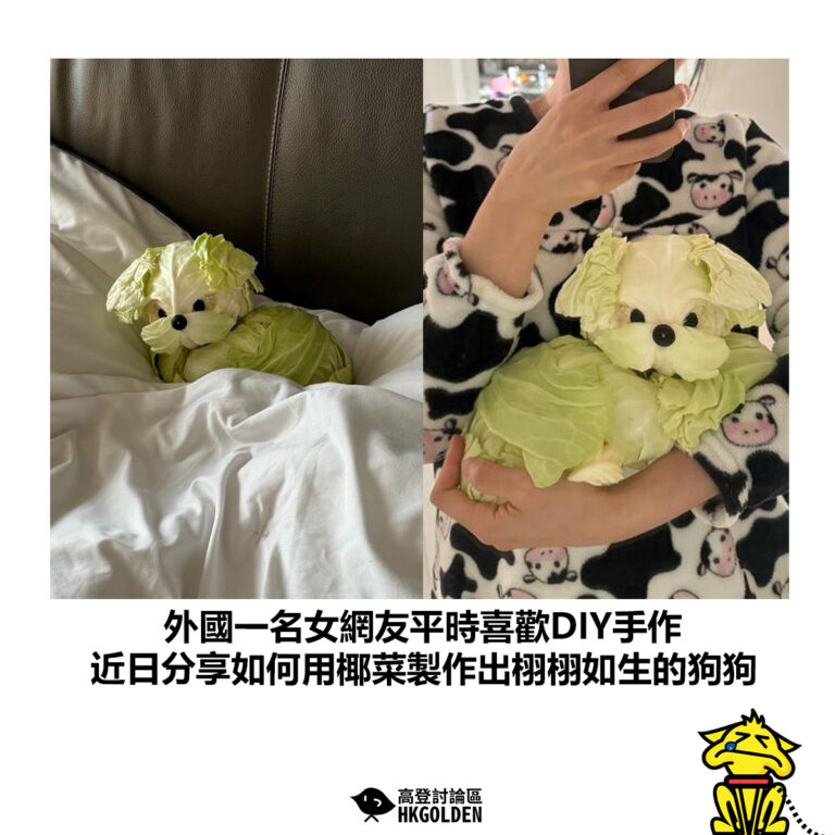 【外國一名女網友平時喜歡DIY手作 近日分享如何用椰菜製作出栩栩如生的狗狗】