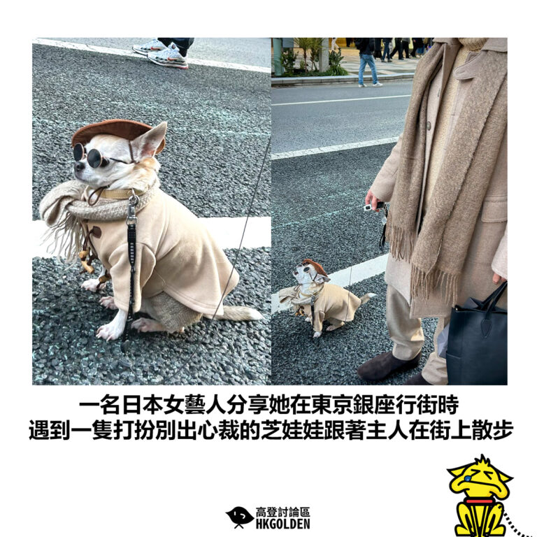 【一名日本女藝人分享她在東京銀座行街時 遇到一隻打扮別出心裁的芝娃娃跟著主人在街上散步】