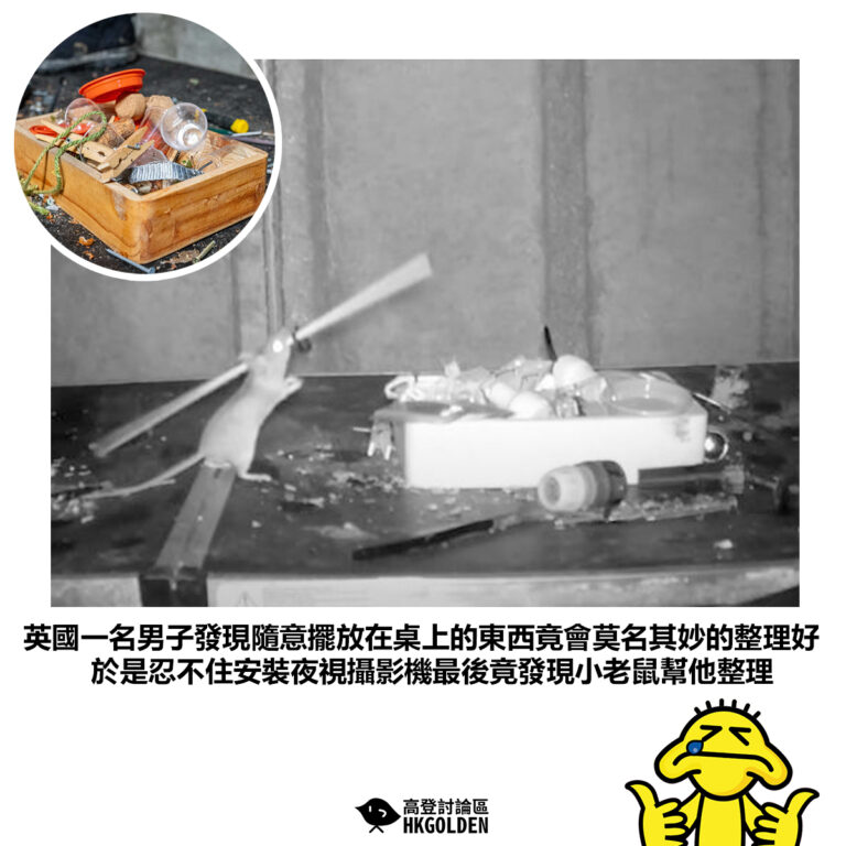 【英國一名男子發現隨意擺放在桌上的東西竟會莫名其妙的整理好於是忍不住安裝夜視攝影機最後竟發現小老鼠幫他整理】