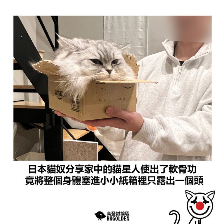 【日本貓奴分享家中的貓星人使出了軟骨功 竟將整個身體塞進小小紙箱裡只露出一個頭】