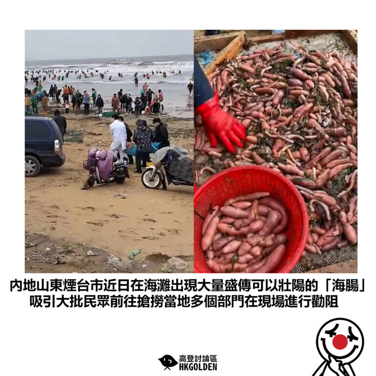 【內地山東煙台市近日在海灘出現大量盛傳可以壯陽的「海腸」吸引大批民眾前往搶撈當地多個部門在現場進行勸阻】