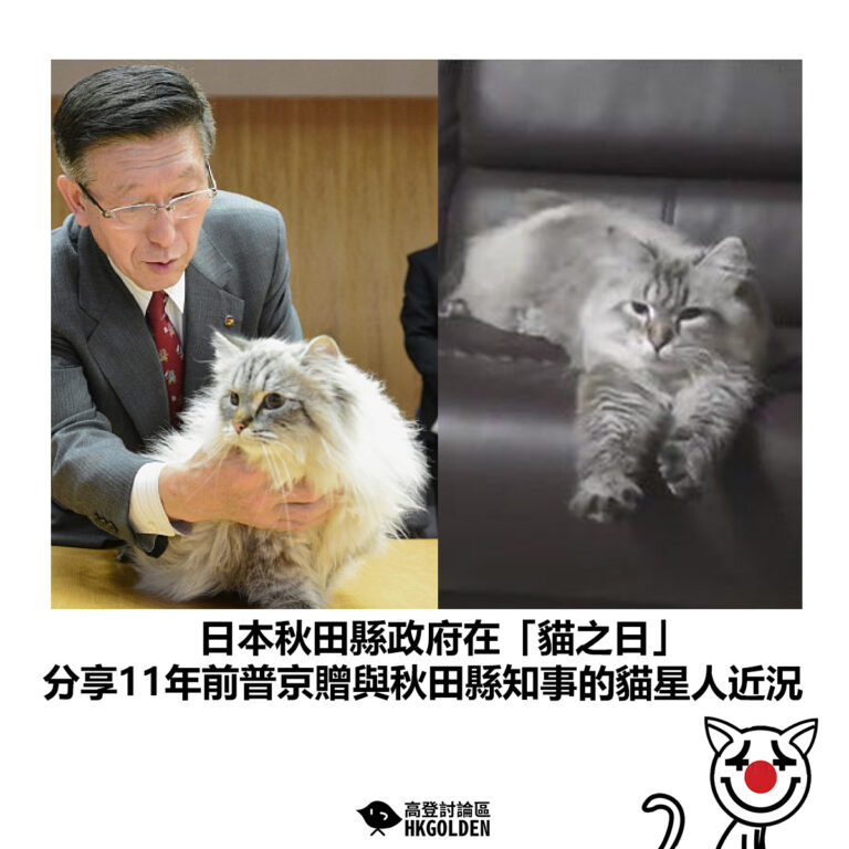 【日本秋田縣政府在「貓之日」分享11年前普京贈與秋田縣知事的貓星人近況】