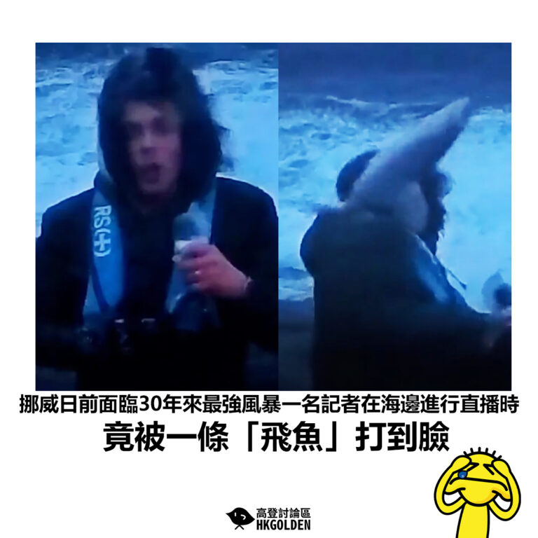 【挪威日前面臨30年來最強風暴一名記者在海邊進行直播時 竟被一條「飛魚」打到臉】