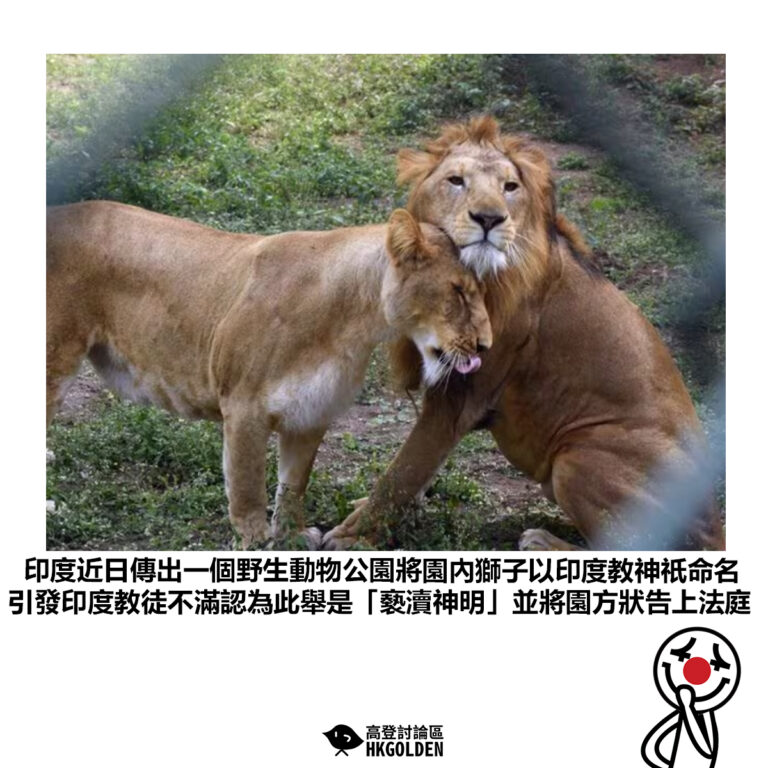 【印度近日傳出一個野生動物公園將園內獅子以印度教神祇命名 引發印度教徒不滿認為此舉是「褻瀆神明」並將園方狀告上法庭】