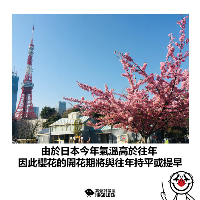 【由於日本今年氣溫高於往年 因此櫻花的開花期將與往年持平或提早】