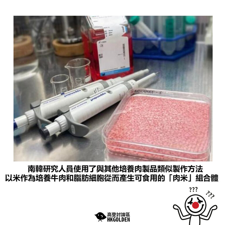 【南韓研究人員使用了與其他培養肉製品類似製作方法 以米作為培養牛肉和脂肪細胞從而產生可食用的「肉米」組合體】