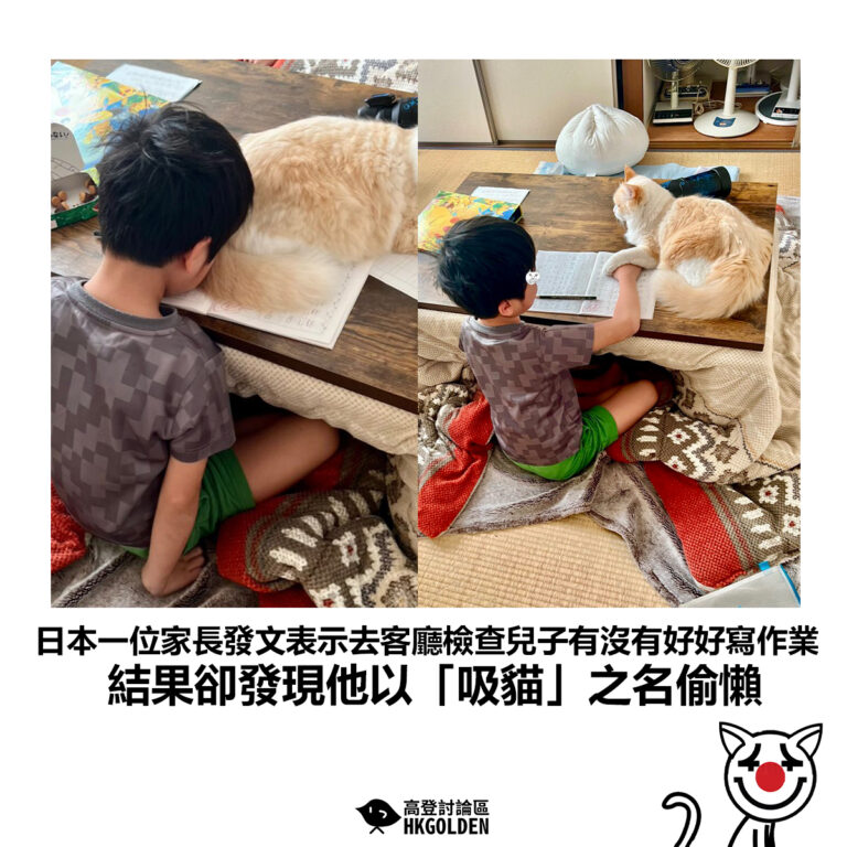【日本一位家長發文表示去客廳檢查兒子有沒有好好寫作業 結果卻發現他以「吸貓」之名偷懶】