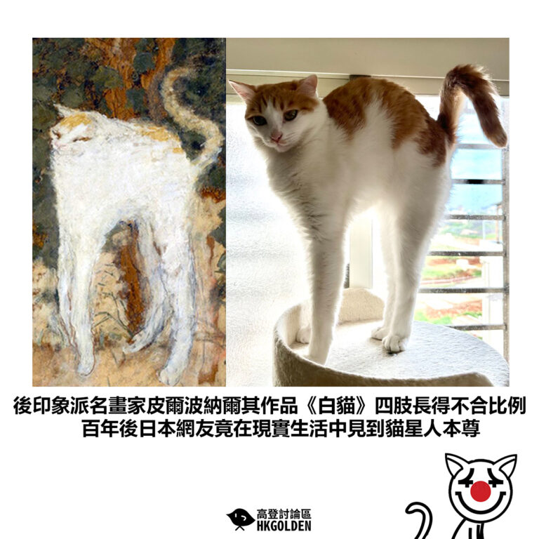 【後印象派名畫家皮爾波納爾其作品《白貓》四肢長得不合比例 百年後日本網友竟在現實生活中見到貓星人本尊】