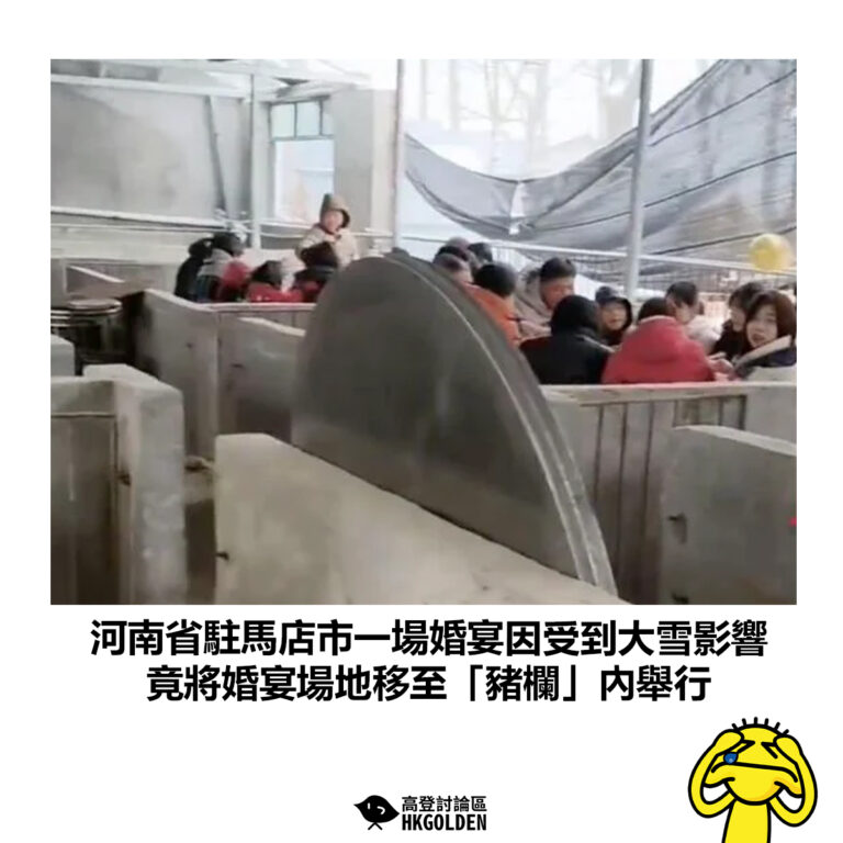 【河南省駐馬店市一場婚宴因受到大雪影響 竟將婚宴場地移至「豬欄」內舉行】