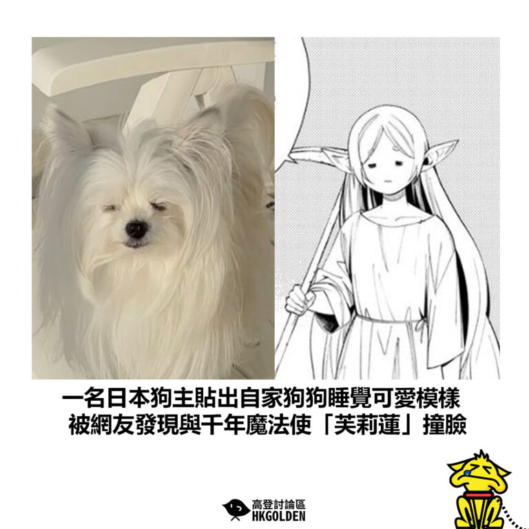 【一名日本狗主貼出自家狗狗睡覺可愛模樣 被網友發現與千年魔法使「芙莉蓮」撞臉】