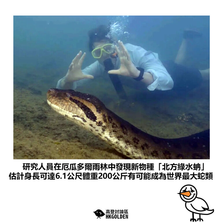 【研究人員在厄瓜多爾雨林中發現新物種「北方綠水蚺」估計身長可達6.1公尺體重200公斤有可能成為世界最大蛇類】