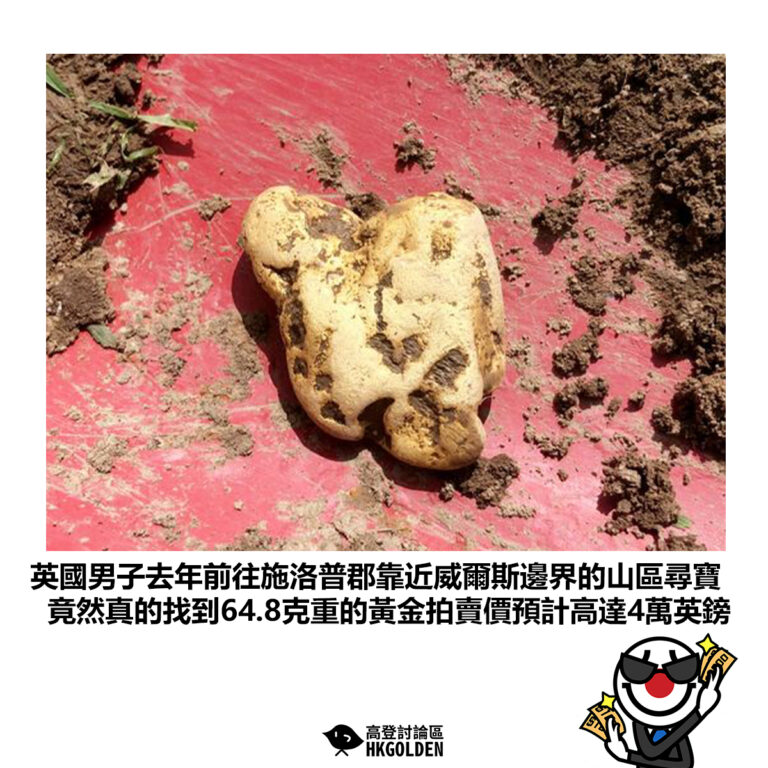 【英國男子去年前往施洛普郡靠近威爾斯邊界的山區尋寶 竟然真的找到64.8克重的黃金拍賣價預計高達4萬英鎊】