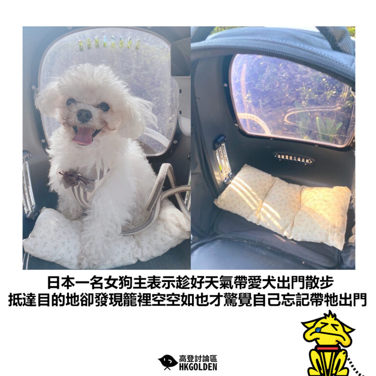 【日本一名女狗主表示趁好天氣帶愛犬出門散步 抵達目的地卻發現籠裡空空如也才驚覺自己忘記帶牠出門】