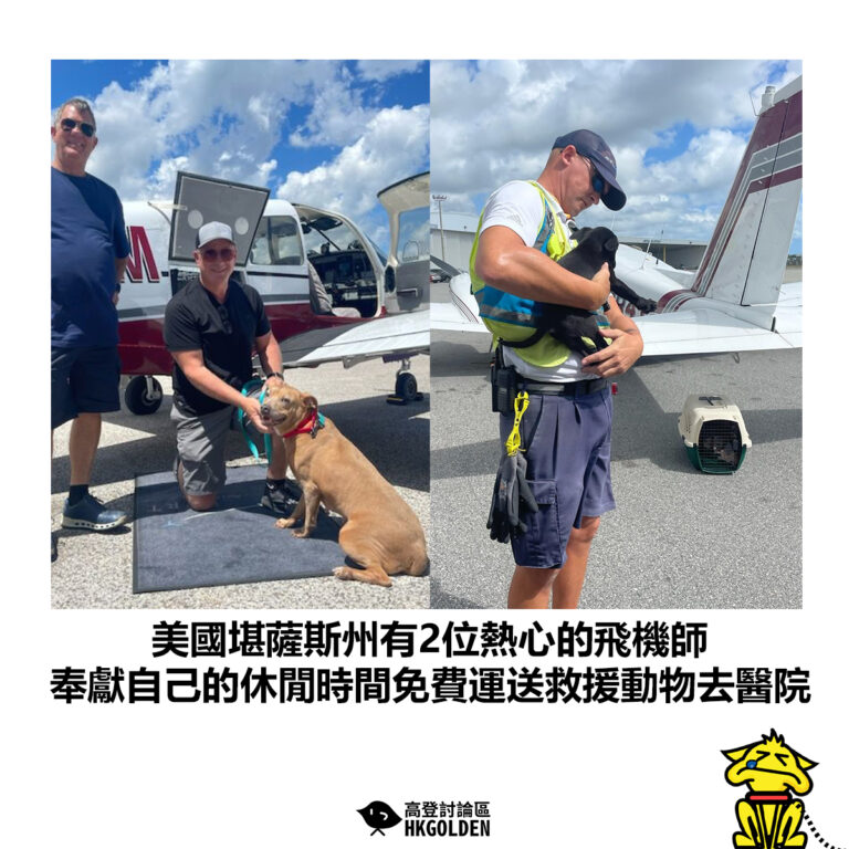 【美國堪薩斯州有2位熱心的飛機師 奉獻自己的休閒時間免費運送救援動物去醫院】