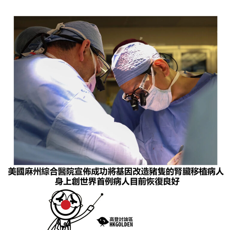 【美國麻州綜合醫院宣佈成功將基因改造豬隻的腎臟移植病人身上創世界首例病人目前恢復良好】