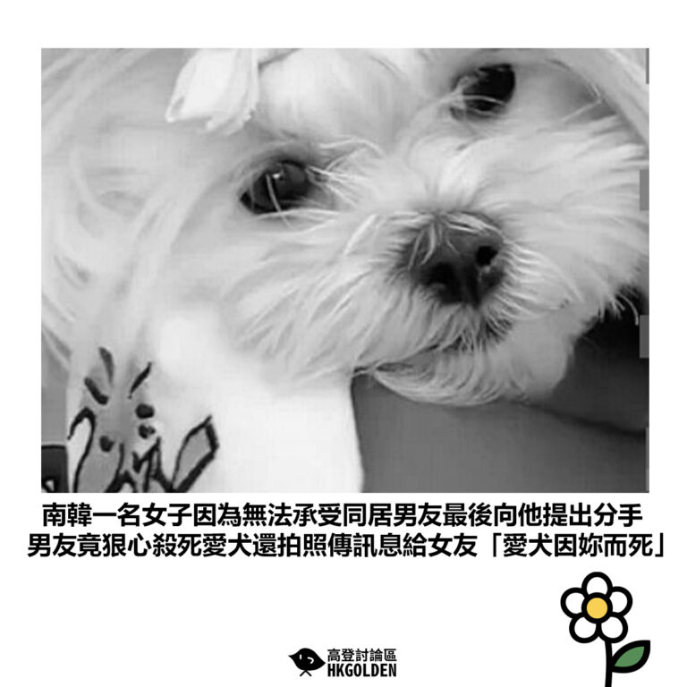 【南韓一名女子因為無法承受同居男友最後向他提出分手 男友竟狠心殺死愛犬還拍照傳訊息給女友「愛犬因妳而死」】