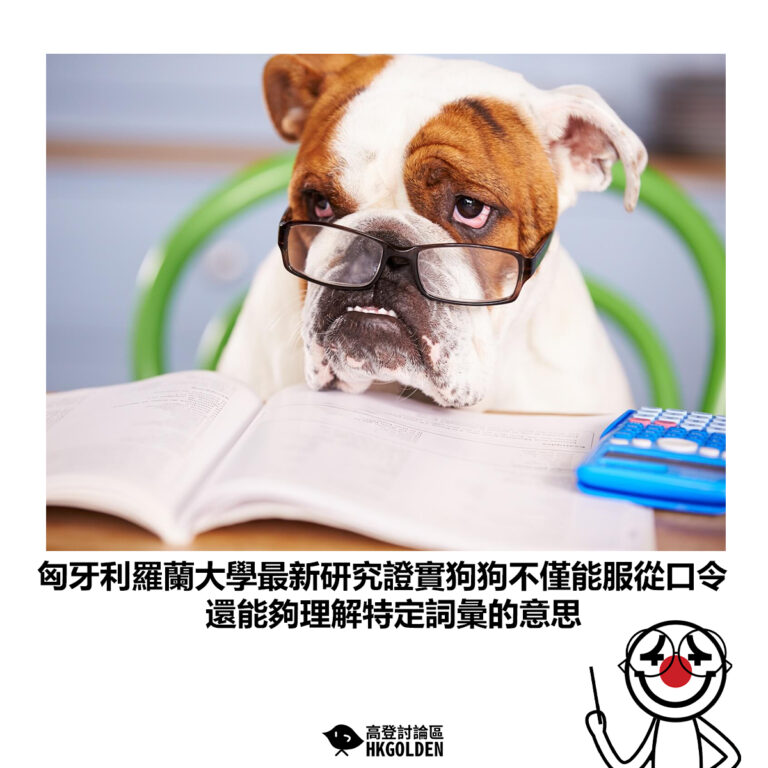 【匈牙利羅蘭大學最新研究證實狗狗不僅能服從口令 還能夠理解特定詞彙的意思】