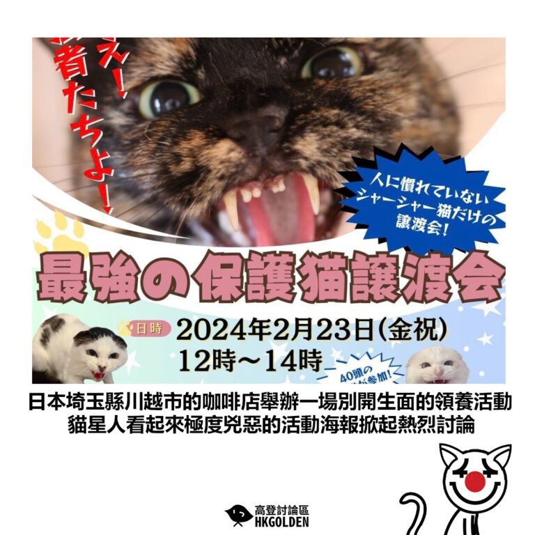 【日本埼玉縣川越市的咖啡店舉辦一場別開生面的領養活動 貓星人看起來極度兇惡的活動海報掀起熱烈討論】