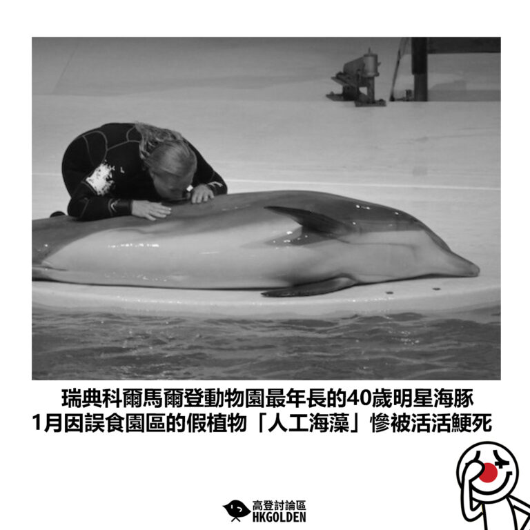 【瑞典科爾馬爾登動物園最年長的40歲明星海豚 1月因誤食園區的假植物「人工海藻」慘被活活鯁死】