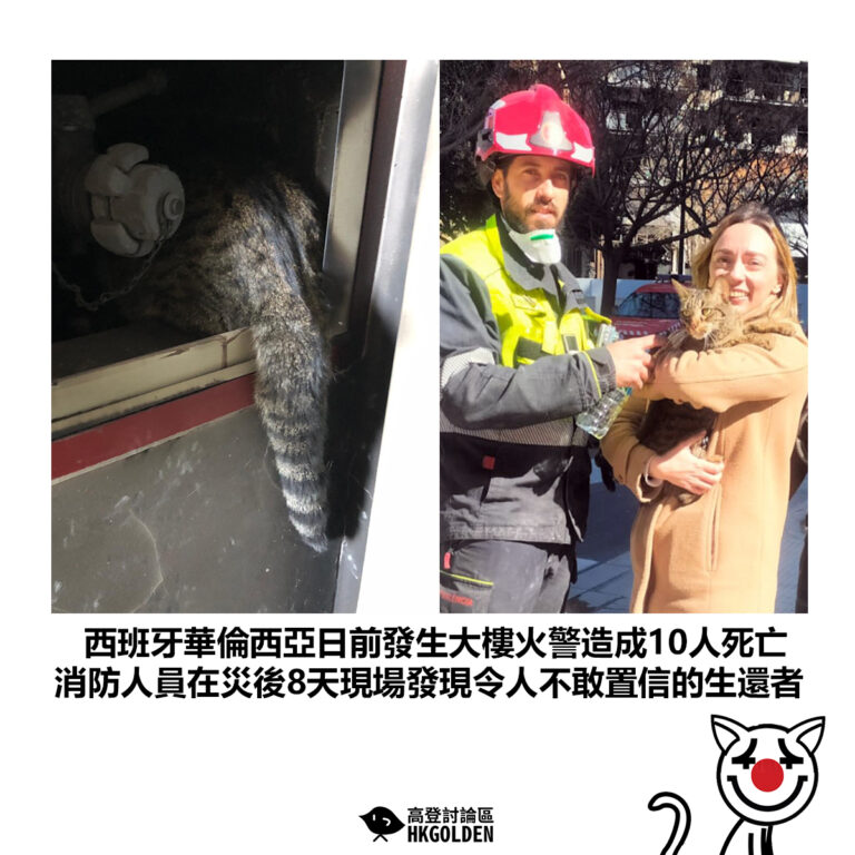 【西班牙華倫西亞日前發生大樓火警造成10人死亡 消防人員在災後8天現場發現令人不敢置信的生還者】