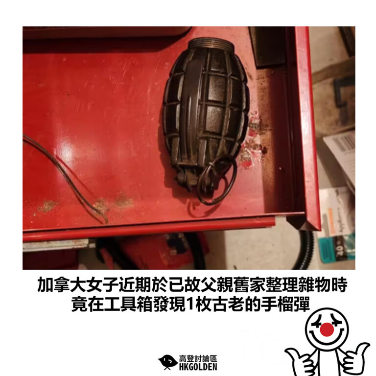 【加拿大女子近期於已故父親舊家整理雜物時 竟在工具箱發現1枚古老的手榴彈】