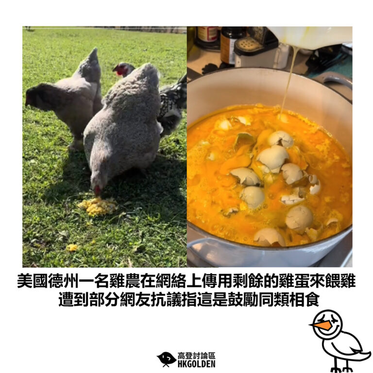 【美國德州一名雞農在網絡上傳用剩餘的雞蛋來餵雞 遭到部分網友抗議指這是鼓勵同類相食】