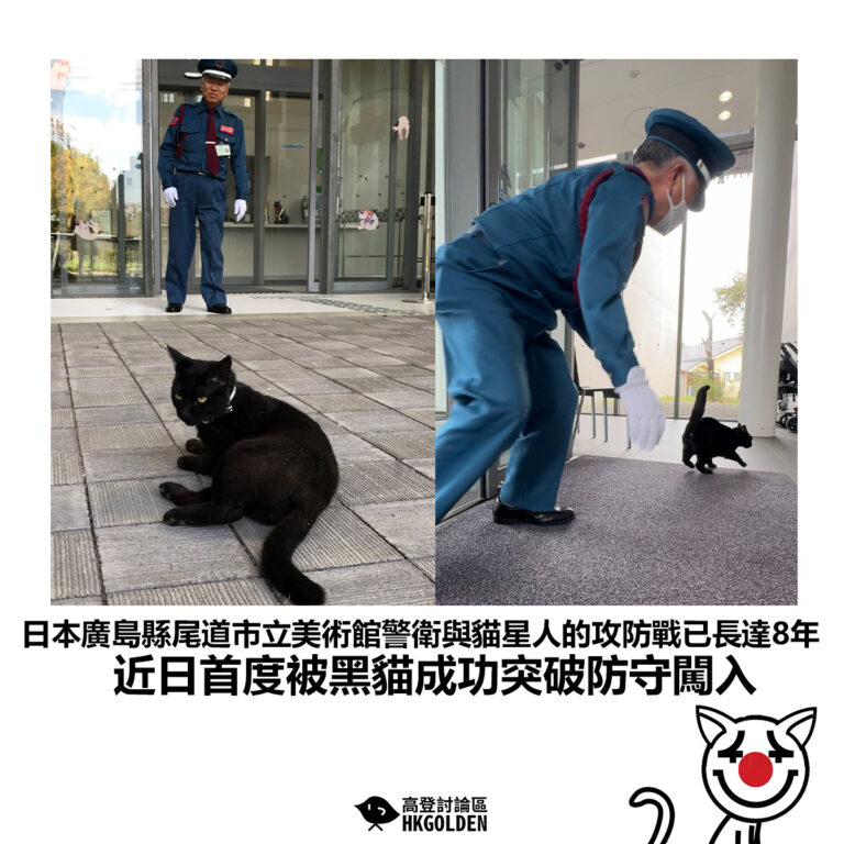 【日本廣島縣尾道市立美術館警衛與貓星人的攻防戰已長達8年 近日首度被黑貓成功突破防守闖入】