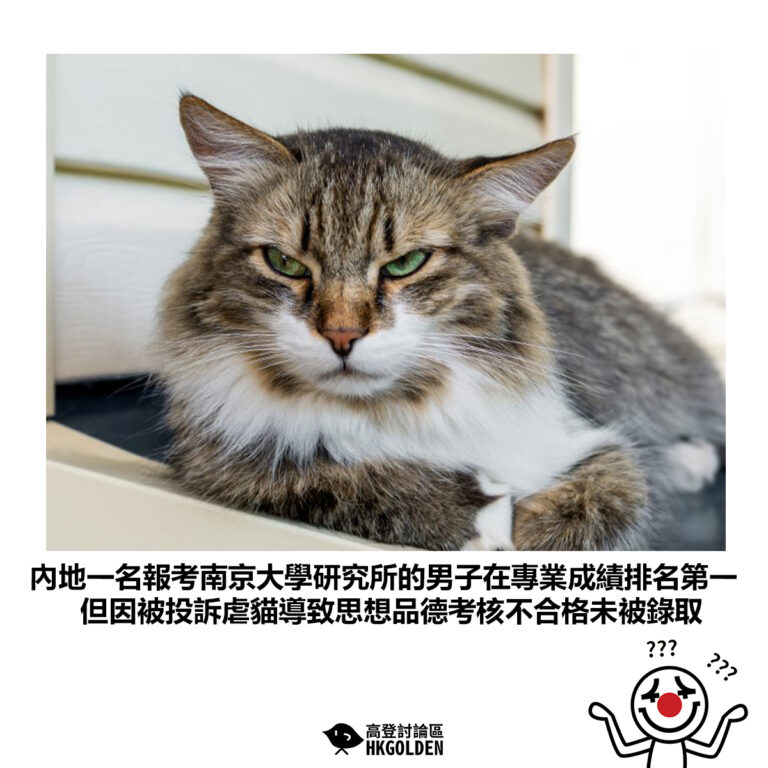 【內地一名報考南京大學研究所的男子在專業成績排名第一 但因被投訴虐貓導致思想品德考核不合格未被錄取】