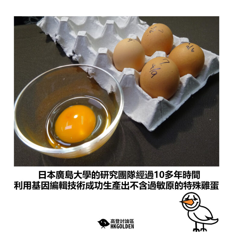 【日本廣島大學的研究團隊經過10多年時間 利用基因編輯技術成功生產出不含過敏原的特殊雞蛋】