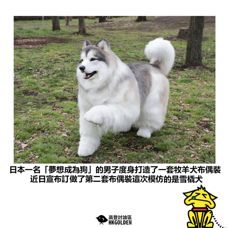【日本一名「夢想成為狗」的男子度身打造了一套牧羊犬布偶裝 近日宣布訂做了第二套布偶裝這次模仿的是雪橇犬】