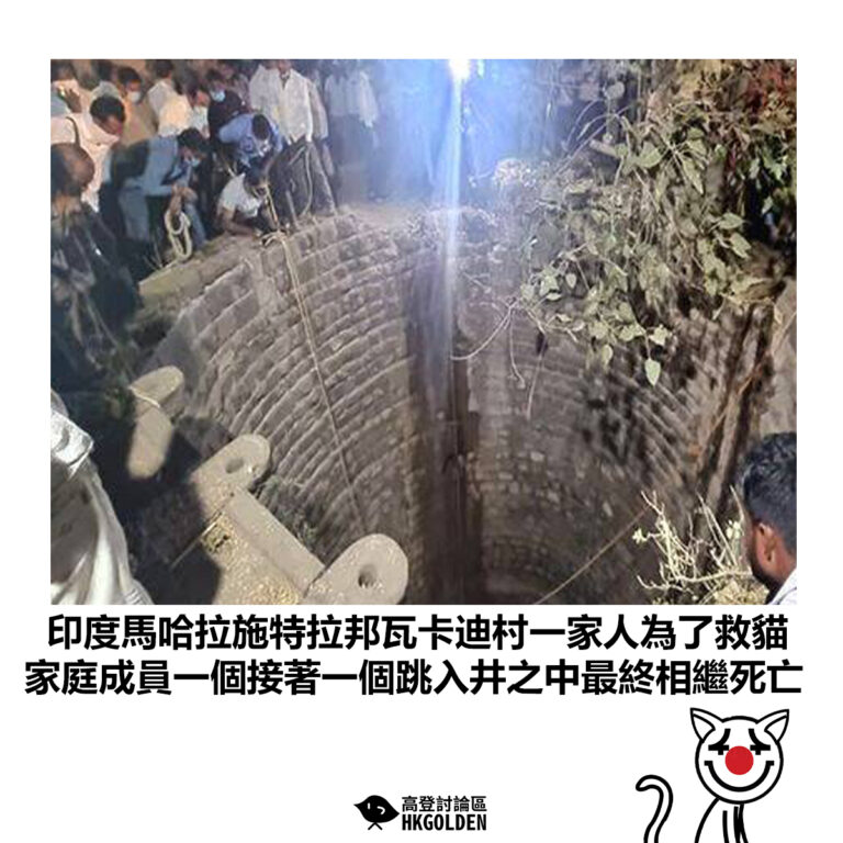 【印度馬哈拉施特拉邦瓦卡迪村一家人為了救貓 家庭成員一個接著一個跳入井之中最終相繼死亡】
