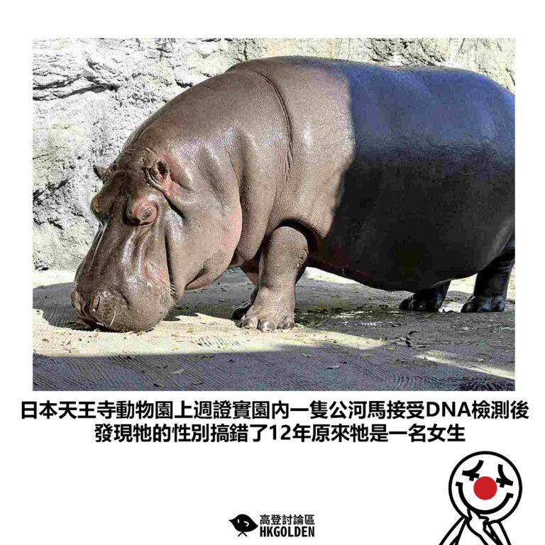【日本天王寺動物園上週證實園內一隻公河馬接受DNA檢測後 發現牠的性別搞錯了12年原來牠是一名女生 】