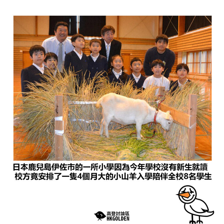 【日本鹿兒島伊佐市的一所小學因為今年學校沒有新生就讀 校方竟安排了一隻4個月大的小山羊入學陪伴全校8名學生】