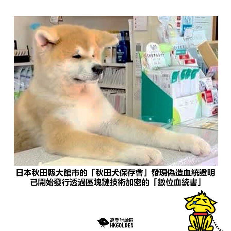 【日本秋田縣大館市的「秋田犬保存會」發現偽造血統證明 已開始發行透過區塊鏈技術加密的「數位血統書」】