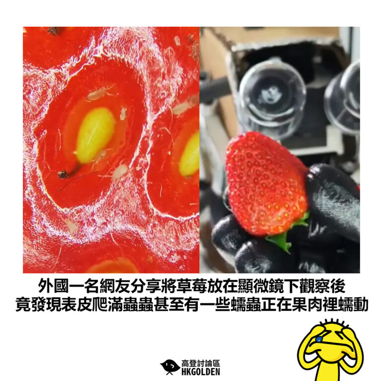 【外國一名網友分享將草莓放在顯微鏡下觀察後 竟發現表皮爬滿蟲蟲甚至有一些蠕蟲正在果肉裡蠕動】