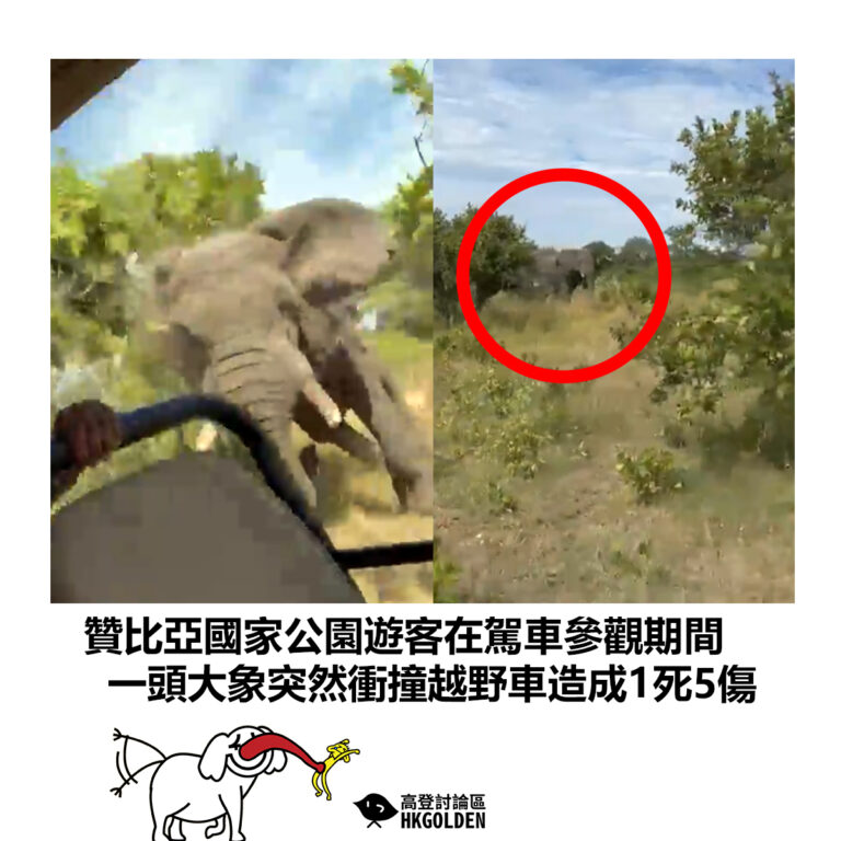 【贊比亞國家公園遊客在駕車參觀期間 一頭大象突然衝撞越野車造成1死5傷】