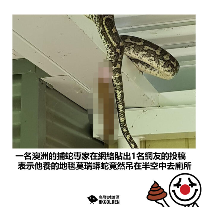 fhgsdhgswh