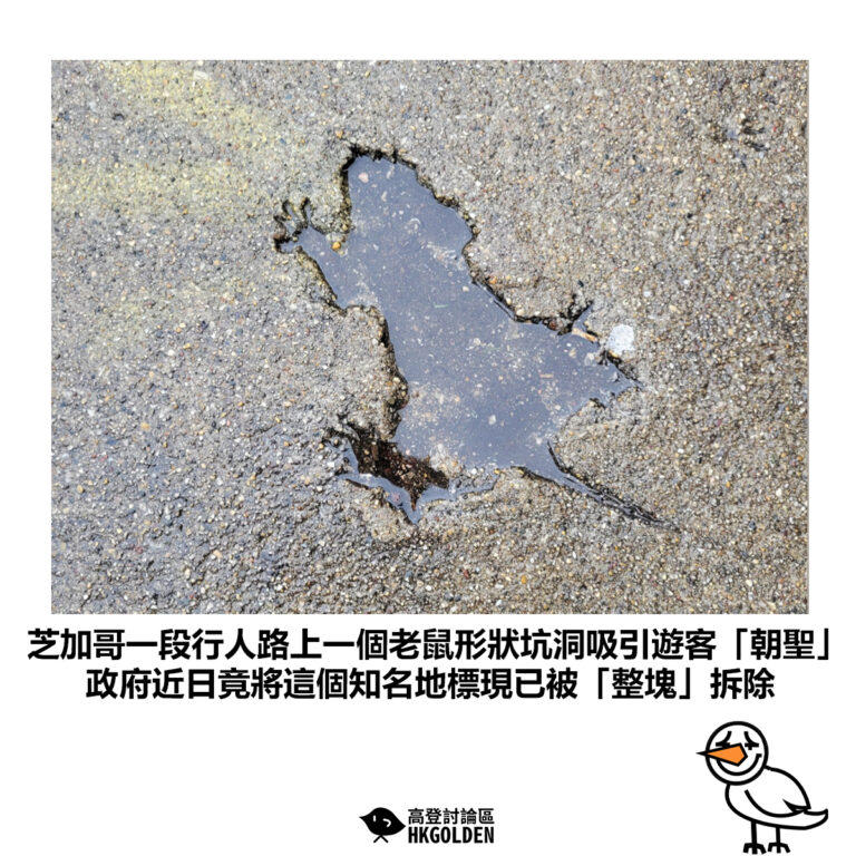 【芝加哥一段行人路上一個老鼠形狀坑洞吸引遊客「朝聖」政府近日竟將這個知名地標現已被「整塊」拆除】