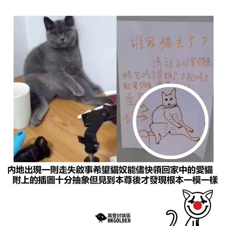 【內地出現一則走失啟事希望貓奴能儘快領回家中的愛貓 附上的插圖十分抽象但見到本尊後才發現根本一模一樣】