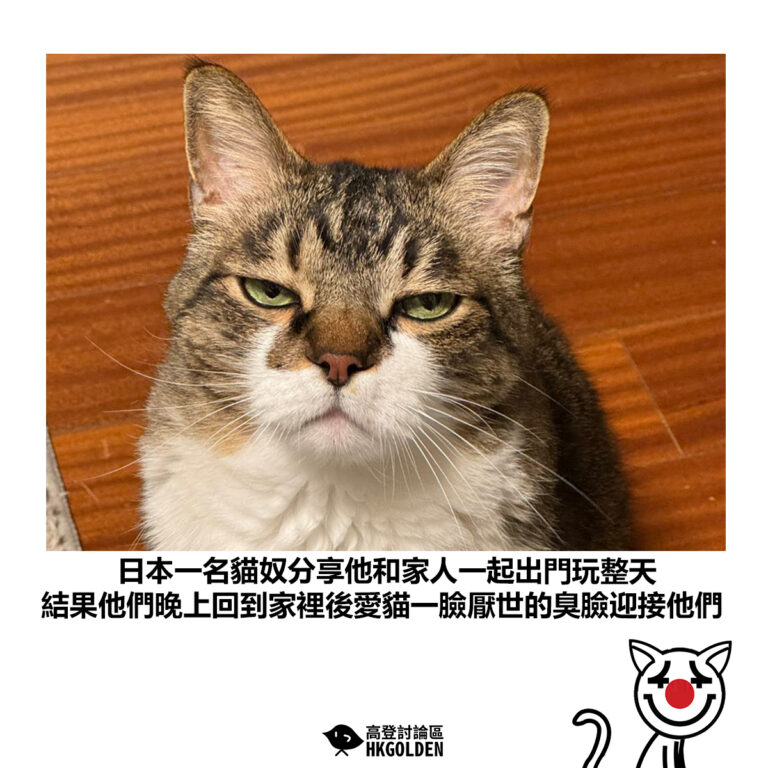 【日本一名貓奴分享他和家人一起出門玩整天 結果他們晚上回到家裡後愛貓一臉厭世的臭臉迎接他們】