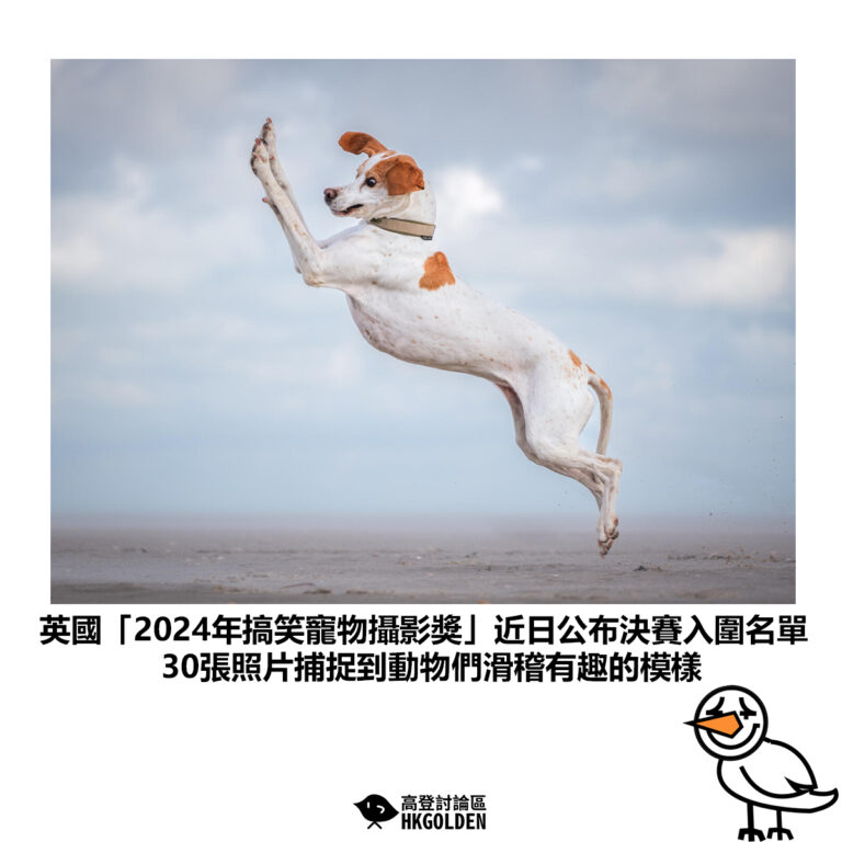 【英國「2024年搞笑寵物攝影獎」近日公布決賽入圍名單 30張照片捕捉到動物們滑稽有趣的模樣】