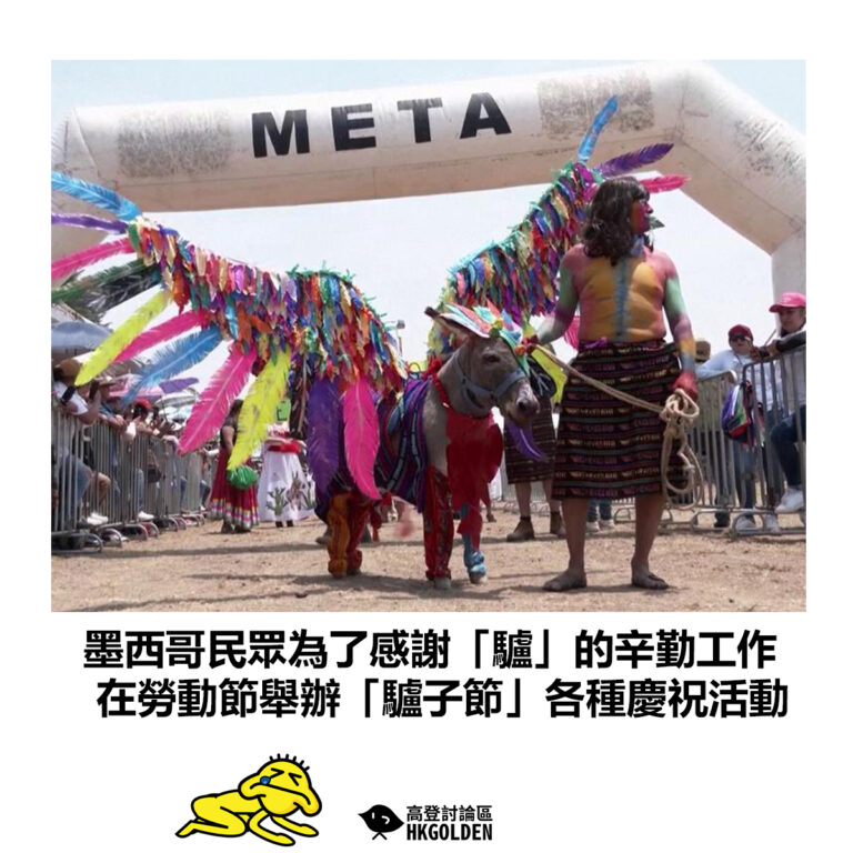 【墨西哥民眾為了感謝「驢」的辛勤工作 在勞動節舉辦「驢子節」各種慶祝活動】