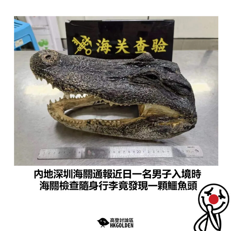 【內地深圳海關通報近日一名男子入境時 海關檢查隨身行李竟發現一顆鱷魚頭】