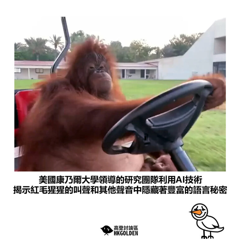 【美國康乃爾大學領導的研究團隊利用AI技術 揭示紅毛猩猩的叫聲和其他聲音中隱藏著豐富的語言秘密】